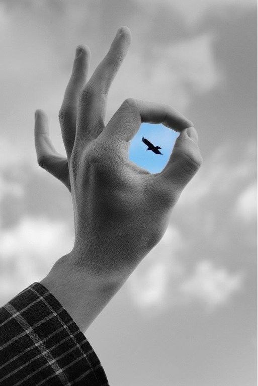 Black-and-white photo of a hand gesture with a colorful cutout of a bird flying through the fingers